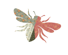 Decoration bee