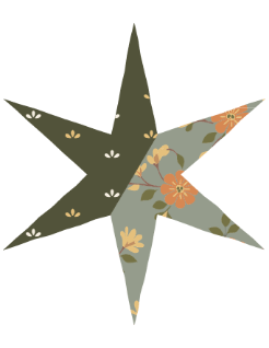 Decoration star