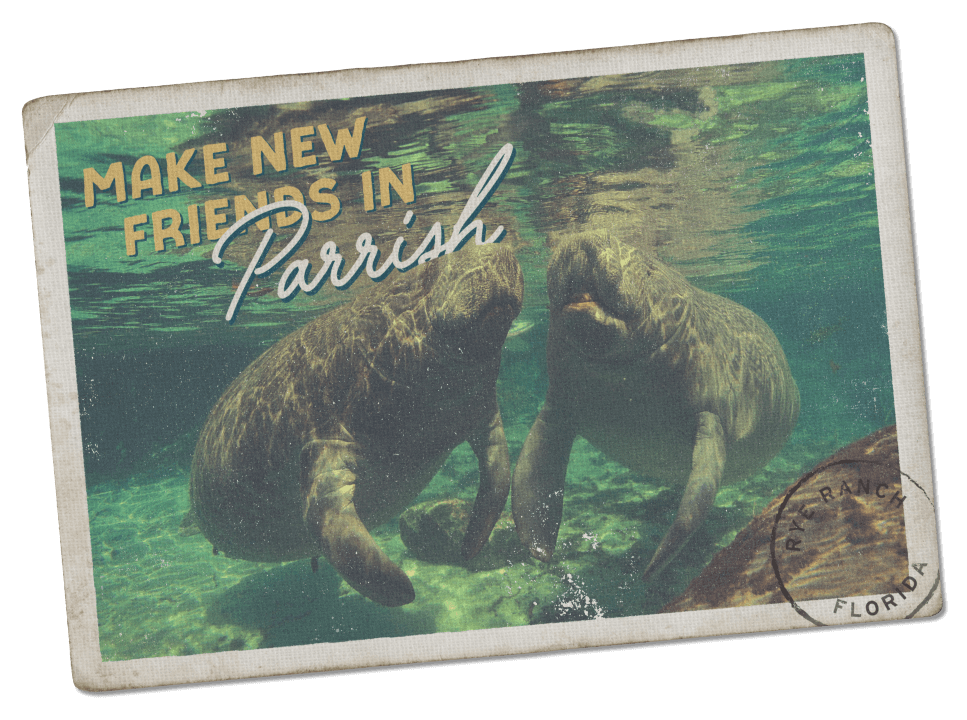 Postcard "Parrish"